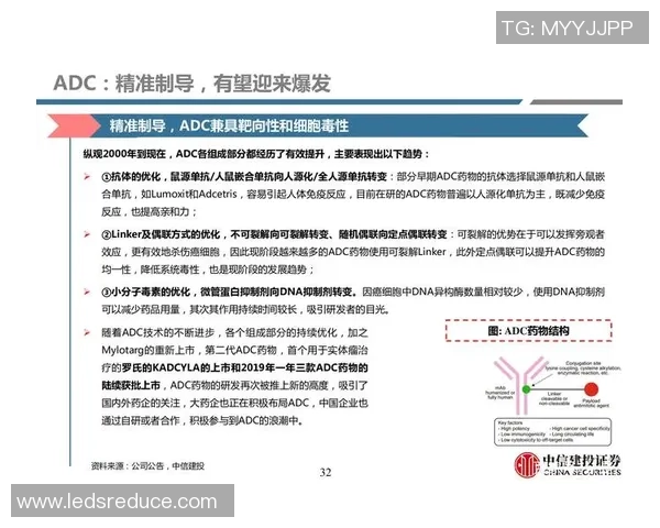 南京羽毛球队的力量与潜力分析聚焦于技术与团队协作的深度探讨