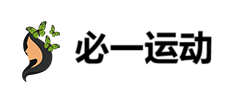 必一运动股份有限公司官方Logo