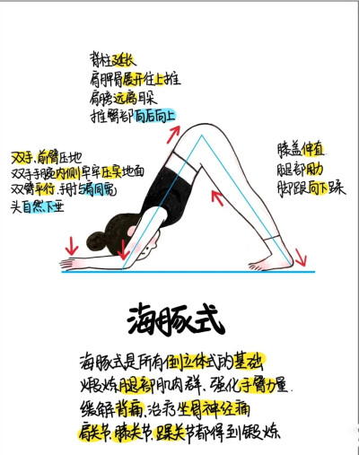 山水为幕伽人共舞2026年全国健身瑜伽公开赛（亚布力站）开赛(图1)