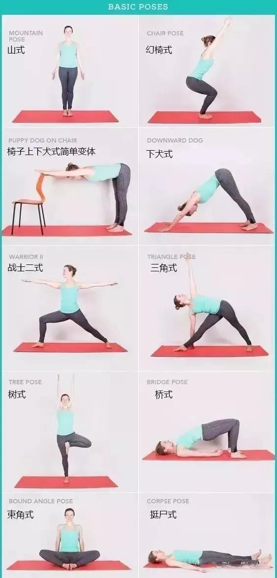 162个训练体式丰富你的瑜伽训练动作库(收藏)(图1)